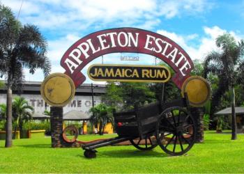 APPLETON ESTATE RUM FACTORY TOURS