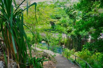 ROARING RIVER’S PARK & MINERAL BATH