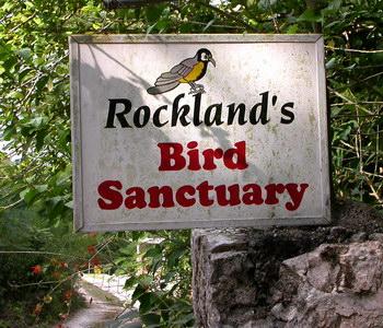 ROCKLANDS BIRD FEEDING STATION