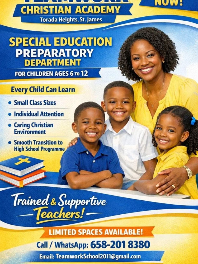 ACCESSIBLE EXCELLENCE SPECIAL EDUCATION PROGRAMME