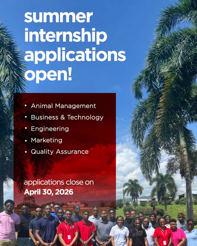 Apply Now Summer Internship Program 2026 (Multiple Fields)